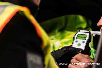 Unter Alkoholeinfluss in Paderborn gegen Straßenlaterne gefahren