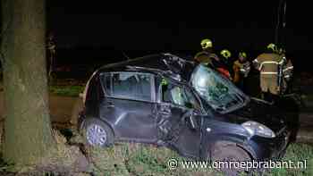 Vrouw (21) uit Wanroij overleden na harde crash tegen boom