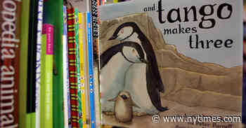 Book Banners Are Trying A Stealth Method To Get Targeted Books Off Library Shelves