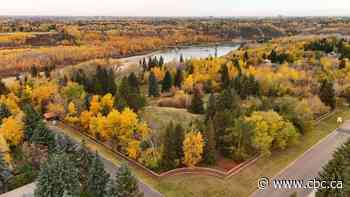 Nordic spa development floated for southwest Edmonton neighbourhood