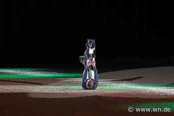 „Doglive“ in Münster: Hunde-Event geht in die 14. Runde