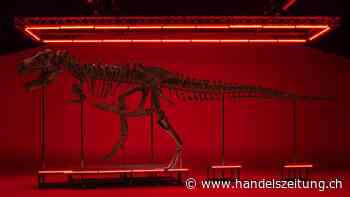 Viel Geld für alte Knochen