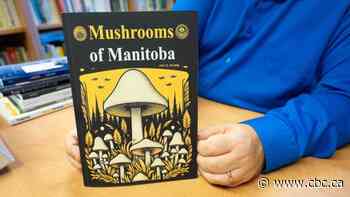 A handbook to Manitoba mushrooms sparks concerns about AI. But for technology, there's no field guide