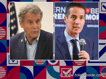 Businessman vies to unseat long-time Ohio senator