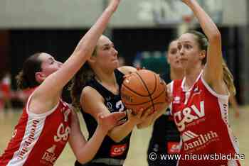 Vinnig en fysiek sterk Kortrijk rekent in derby relatief vlot af met nog wat groen Waregem: “Ons tactisch plannetje klopte helemaal”