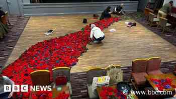 Handcrafted poppy cascade to go on display
