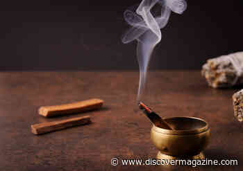 Where Does Palo Santo Come From and What Is it Used For?