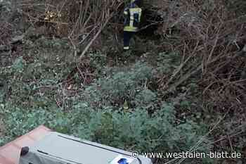 100 Hühner im Wald bei Westheim ausgesetzt