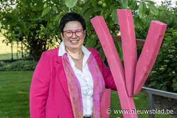 VERKIEZINGEN MOORSLEDE. STERK scoort erg goed en lijkt grootste partij te worden