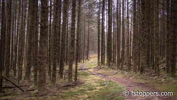 Why You Don’t Need Film Cameras to Achieve a Film Look