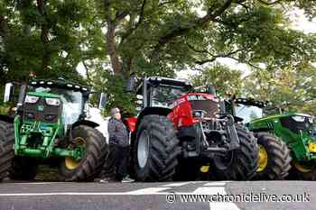Top 10 photos of families enjoying Northumberland pub's annual Tractor Day