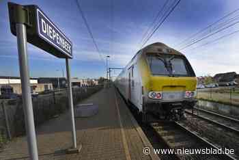 VERKIEZINGEN 2024. PUUR+ springt met één procent over partij van burgemeester in Diepenbeek