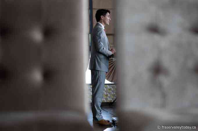 Liberals appoint Andrew Bevan as campaign head amid talk of MP revolt against Trudeau