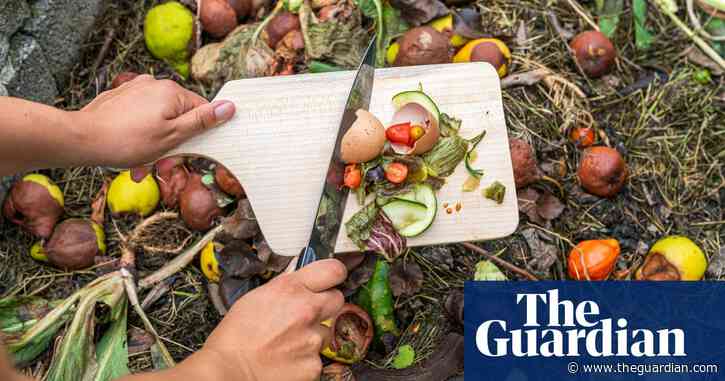Food waste and the horror of discarded pumpkins | Letters