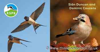 Wild Things: The birdwatching year in books