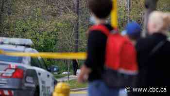 How are you affected by youth violence and bullying?