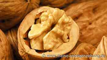 Cholesterin senken: Welche Fettsäuren Sie gesund halten