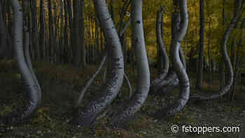 A Practical Guide to Managing Photos While Traveling