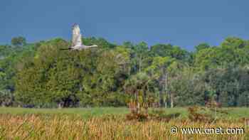 Best Internet Providers in Lehigh Acres, Florida