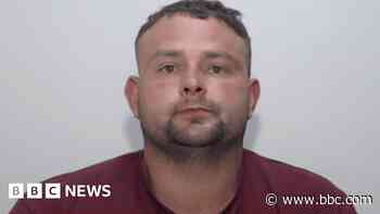 Guns, drugs and 800 parrots found at property