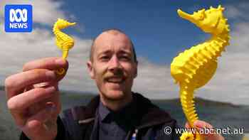 These tiny figurines took 70 layers of 3D printing, but now, tourists with low vision can touch a seahorse