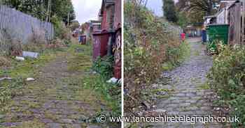 Residents frustrated as ‘overgrown vegetation’ stopping bins being collected