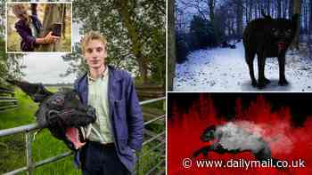Unravelling the mystery of the Black Shuck: Experts reveal the truth behind the demon dog of East Anglia - as Charlie Cooper attempts to catch the beast on camera