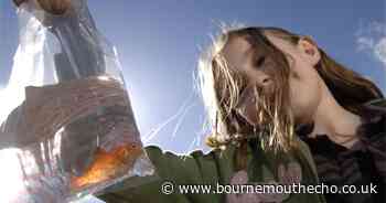 Council bans animals from being given as prizes