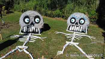 Halloween for family a Zoomarine