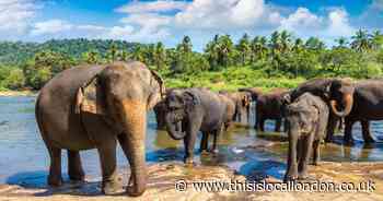 Escape the grey skies and experience the charm of Sri Lanka