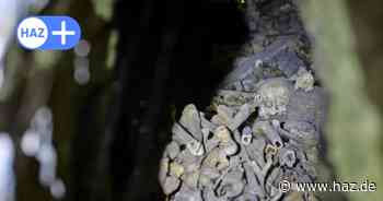 Gruseln zu Halloween: Zehn schaurige Orte in der Region Hannover