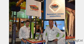 "Spaanse teelt van groene asperges bevalt zo goed, dat we ook met een schuin oogje kijken naar witte asperges en tips"