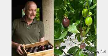 Passievruchten uit Limburg