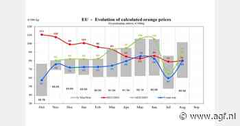 Gemiddelde prijs EU-sinaasappelen in augustus op €80,21 (-11%)