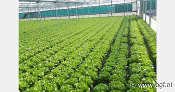 "Hitte deze zomer gaf grote uitdagingen"