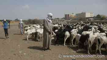 Weltbank: Ärmste Länder so hoch verschuldet wie seit 2006 nicht