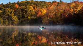Warmer than normal temperatures lead to duller fall colours in Ontario
