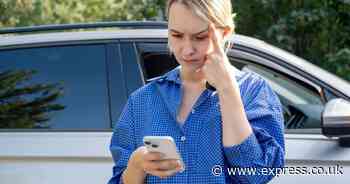 Drivers given £63 alert as insurers cut the cost of quotes