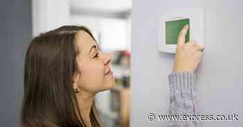 'This £8.50 Martin Lewis-inspired product means I hardly have to put my heating on'