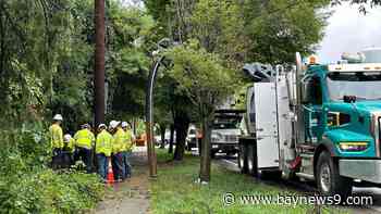 TECO officials targeting remaining outages