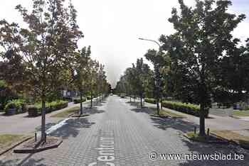 Voetganger met hoofdwonde afgevoerd na aanrijding tijdens oversteken