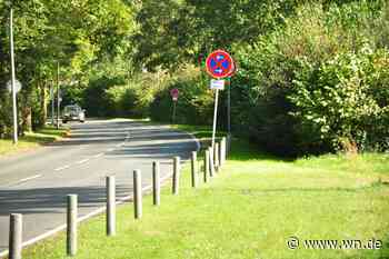 Dutzende Knöllchen beim Handorfer Herbst