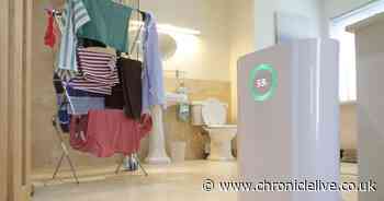 Dehumidifier buying guide as experts explain how they can cut down energy bills