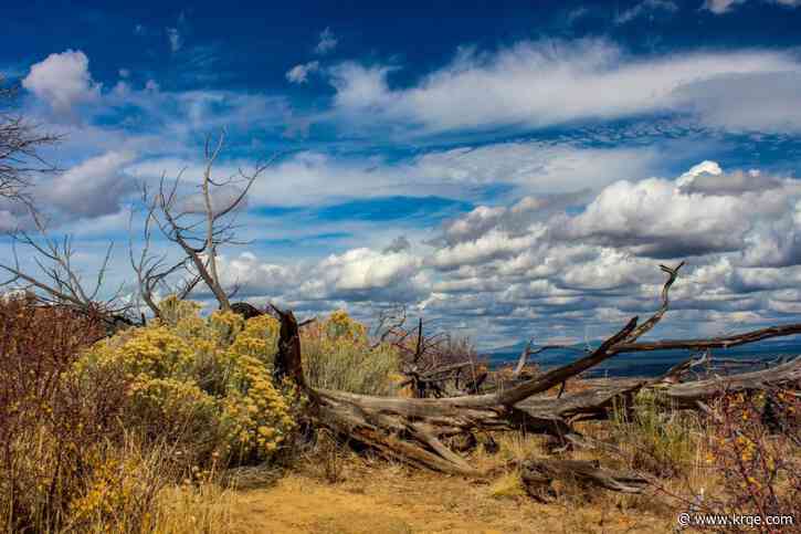 Group associated with polygamous sect builds fences on US Forest Service lands