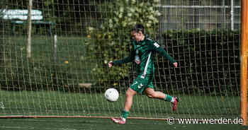 Die Grenzen aufgezeigt