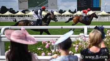 Don’t bet on a taxing outcome for UK gambling companies