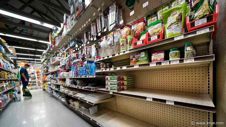 Major home improvement retailer files for bankruptcy, announces sale plans