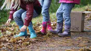 Wolfenbütteler Förster: Rücksicht nehmen auf Kastanien-Fresser
