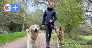 Hundebetreuung in Bad Segeberg: Maria Schubring hat sich mit Gassigeh-Service selbstständig gemacht