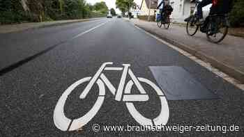 Baustelle an der B27: 400 Bäume müssen neuem Radweg weichen